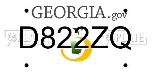 D822ZQ Georgia License Plate
