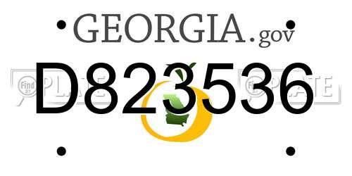 D823536 Georgia License Plate