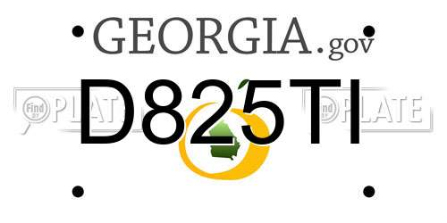 D825TI Georgia License Plate