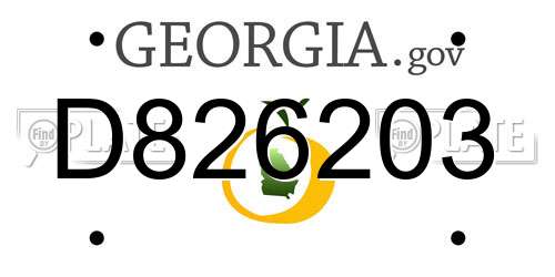 D826203 Georgia License Plate
