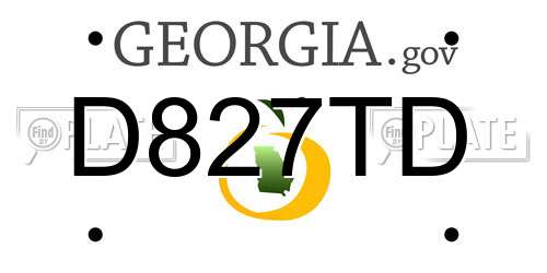 D827TD Georgia License Plate