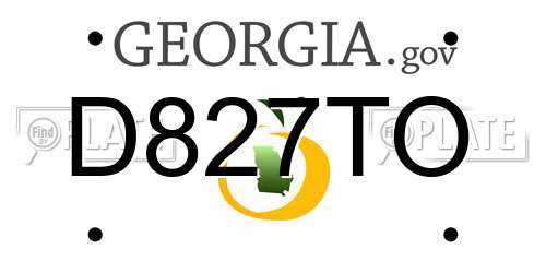 D827TO Georgia License Plate