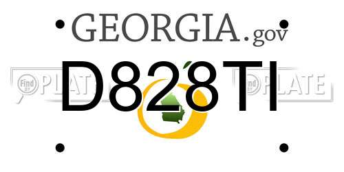 D828TI Georgia License Plate