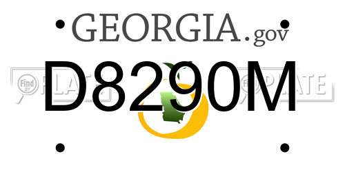 D8290M Georgia License Plate