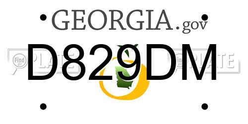 D829DM Georgia License Plate