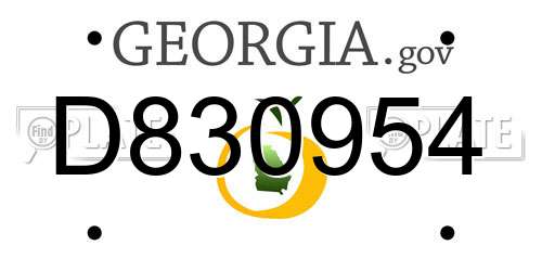 D830954 Georgia License Plate
