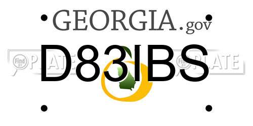 D83IBS Georgia License Plate
