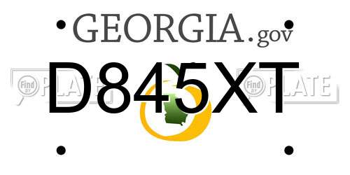 D845XT Georgia License Plate