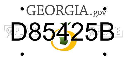 D85425B Georgia License Plate