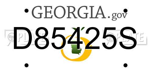 D85425S Georgia License Plate