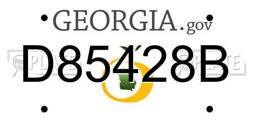 D85428B Georgia License Plate