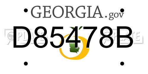 D85478B Georgia License Plate