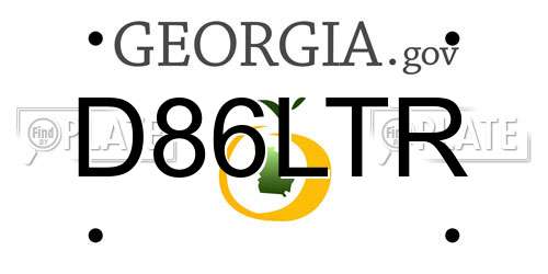 D86LTR Georgia License Plate