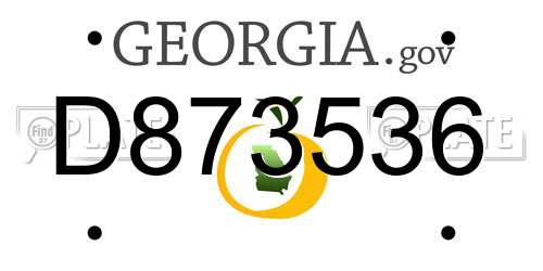 D873536 Georgia License Plate