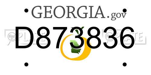 D873836 Georgia License Plate