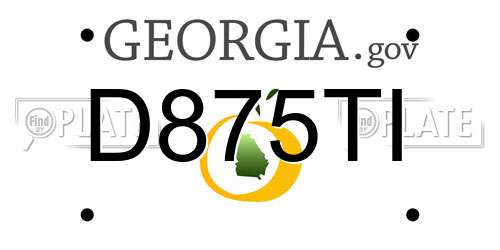 D875TI Georgia License Plate