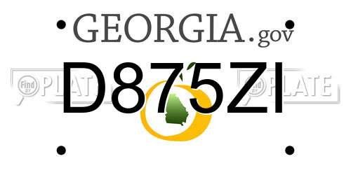 D875ZI Georgia License Plate