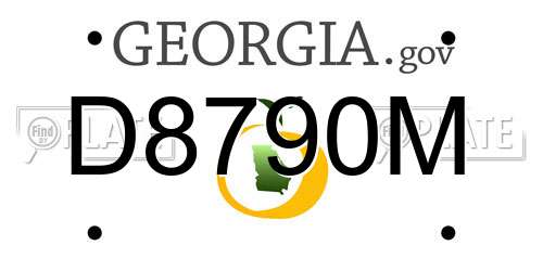 D8790M Georgia License Plate