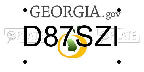 D87SZI Georgia License Plate