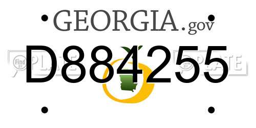 D884255 Georgia License Plate