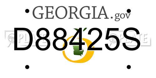 D88425S Georgia License Plate