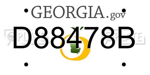 D88478B Georgia License Plate