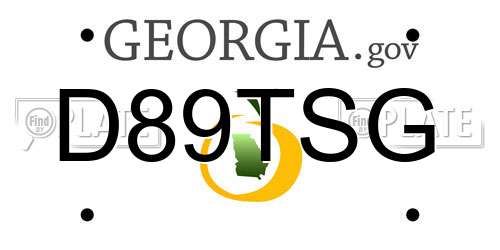 D89TSG Georgia License Plate