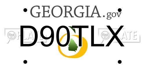 D90TLX Georgia License Plate