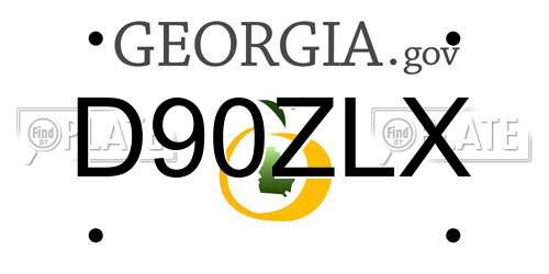 D90ZLX Georgia License Plate