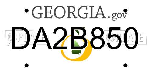 DA2B850 Georgia License Plate