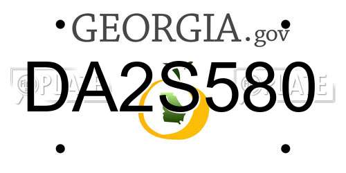 DA2S580 Georgia License Plate