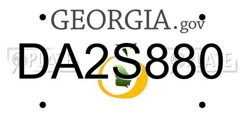 DA2S880 Georgia License Plate