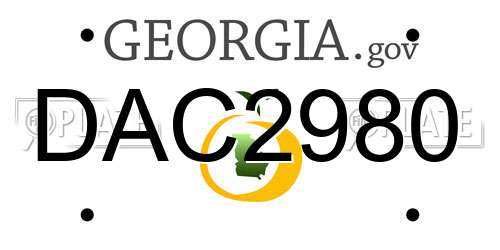 DAC2980 Georgia License Plate