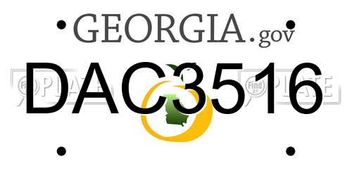 DAC3516 Georgia License Plate