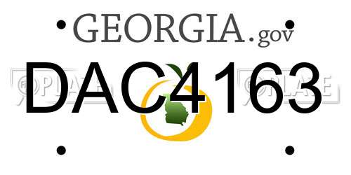 DAC4163 Georgia License Plate