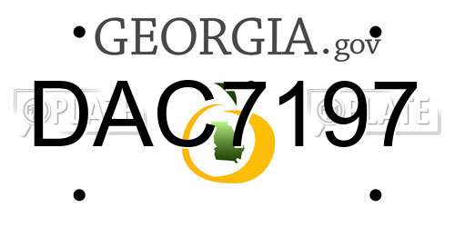 DAC7197 Georgia License Plate