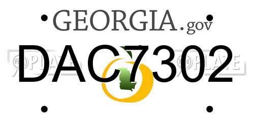 DAC7302 Georgia License Plate