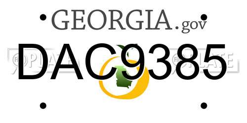 DAC9385 Georgia License Plate