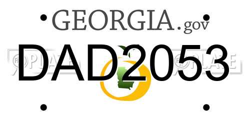 DAD2053 Georgia License Plate