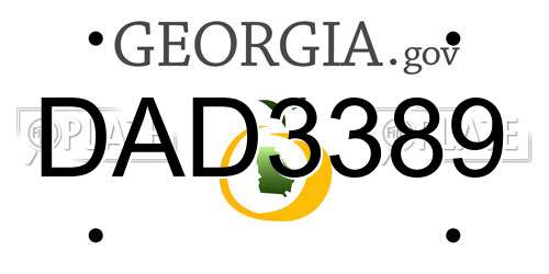DAD3389 Georgia License Plate