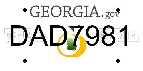 DAD7981 Georgia License Plate