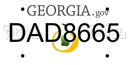 DAD8665 Georgia License Plate
