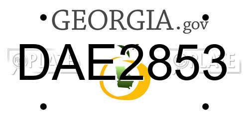 DAE2853 Georgia License Plate