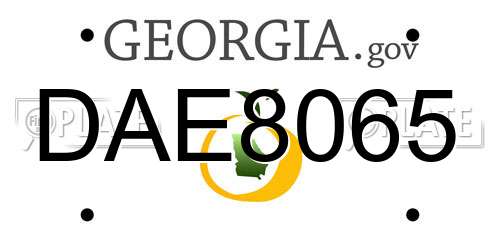 DAE8065 Georgia License Plate