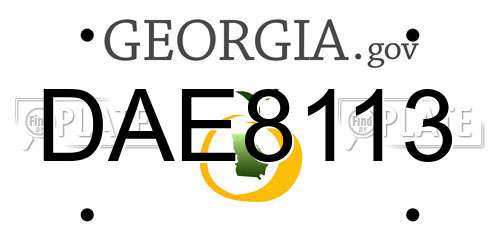 DAE8113 Georgia License Plate