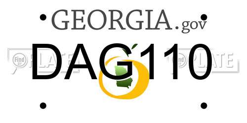 DAG110 Georgia License Plate