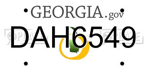 DAH6549 Georgia License Plate