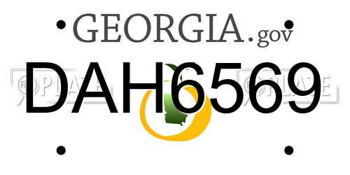 DAH6569 Georgia License Plate