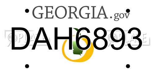 DAH6893 Georgia License Plate