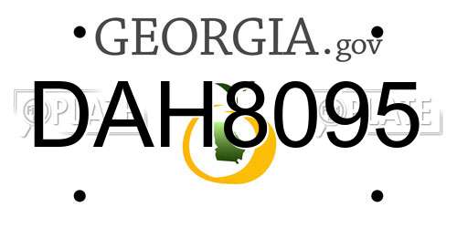 DAH8095 Georgia License Plate